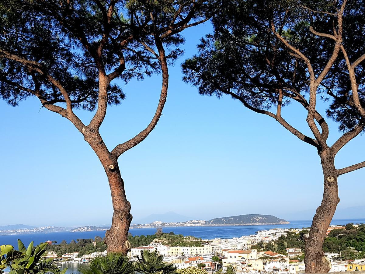 Ischia Dream Visions 아파트 외부 사진