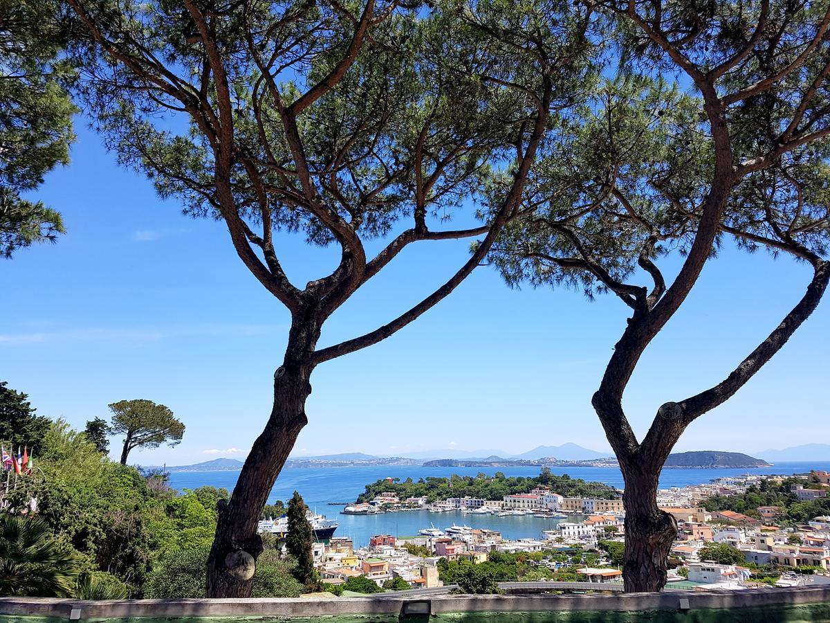 Ischia Dream Visions 아파트 외부 사진
